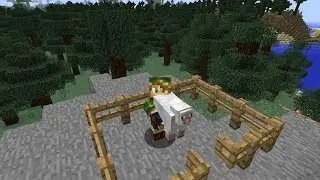 Mincecraft Mod Showcase | Carry On Mod 1.12.2/1.11.2