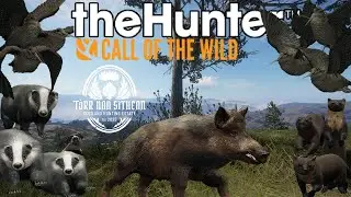 В финальную локацию Башни Ведьм мы приглашаем старого друга! theHunter: Call of the Wild!