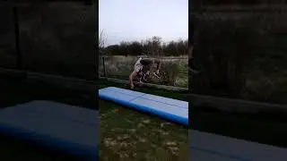 Wersja Fiflak