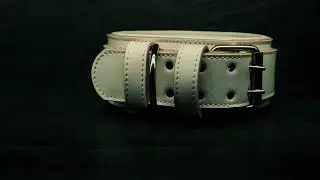 Collares de cuero para perros poderosos #dog #shorts  