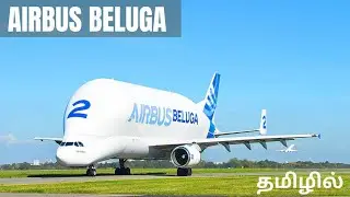Airbus Beluga | Different Airplanes | Drestle | Shibhin