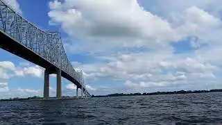 Blue Claw Crabs in the Delaware River ???