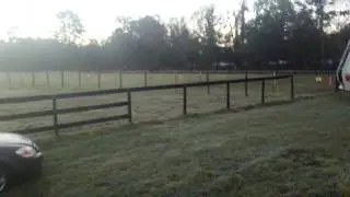 6 AM Charles D Hall & Astrid S Hall Cattle Attack On Our Home, Feb 20, 2018