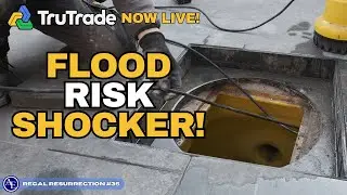 CRISIS ALERT: Sump Pump Failure Threatens Flooding! 🚨 | Regal Resurrection 35