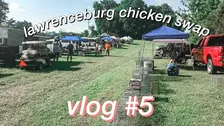 we went to the chicken swap|| VLOG 5