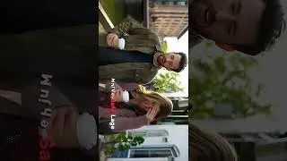 Ghosted movie / romantic scenes / #shortvideo #captainamerica #romantic #short