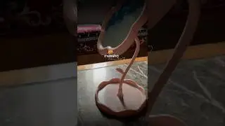 Aesthetic Pink Flower-Shaped Table Mirror | Meesho Mirror Review 🌸