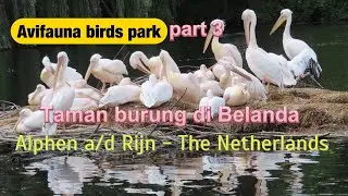 Avifauna Birds Park - Pelican - Manchurian Crane - African Crowned Crane ll part 3