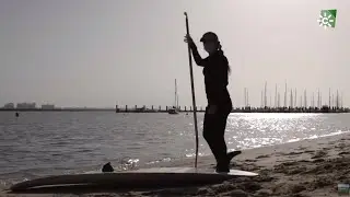 Un rincón para ponernos a punto, Marismas del Odiel, Huelva