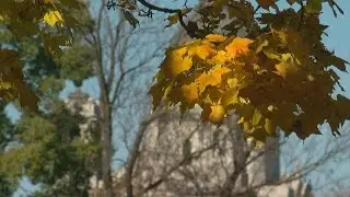 Good Questions: Fall/Autumn, Acorns & Frost