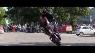 Stunt season 2013. 