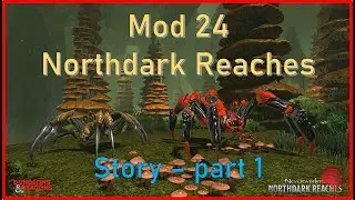 Neverwinter: Mod24 Northdark Reaches Story Part 1 #story #walkthrough