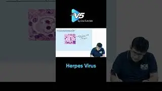 Herpes Viruses Explained | HSV-1, HSV-2, HHV-3 & HHV-8