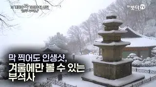 왜 배흘림기둥일까? 천 년을 버틴 무량수전의 숨겨진 이야기 | 눈, 바람, 물, 새소리로 듣는 마음여행 | 이 계절에 꼭 가봐야할 사찰 '영주 부석사'