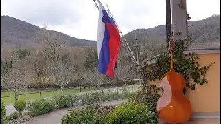 8. februar PRAZNIK KULTURE 2021