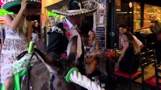 V Rentals Winner 2013 Unicorn Chauffeur