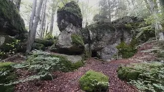 Herbst-Wanderung zur Maximiliansgrotte bei Neuhaus a.d. Pegnitz
