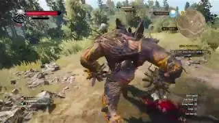 The Witcher 3 &ndash; Level 37 Golem fight