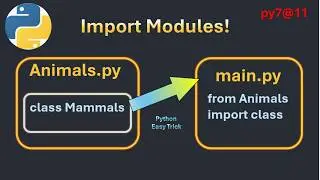 py7@11 Python Import Modules Explained  How to Import Classes from Another File Beginner Friendly