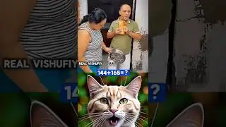 Husband and Wife Funny Moment 😂🤣 #funny #cat #dance #shorts
