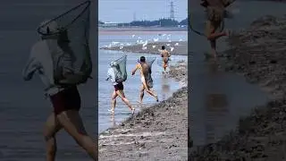 Insane Tradition! Chasing Fish Through Giant Tides