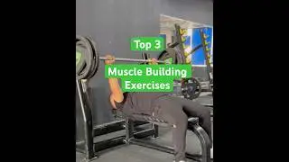 Benefits of Strength Training 🔥💀💪 #musclefacts #bodybuilding #youtubeshorts
