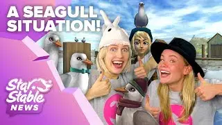 It's a SEAGULL SITUATION! 🐤❄️🧣| Star Stable News