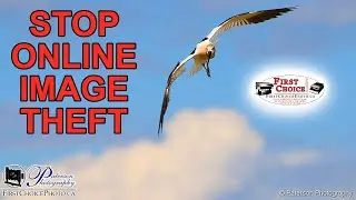 How to stop online image theft.  Take steps to stop people from stealing your hard work and images.