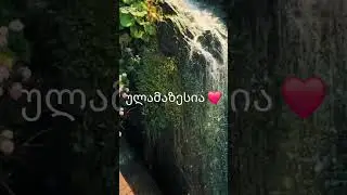 იყიდება მიწის ნაკვეთი ციხისძირში 🌿🏡📐 ფართობი: 4430 კვ.მ🏗️ 💰 ფასი: 65$ / კვ.მ 🔑📞 599 88 33 79