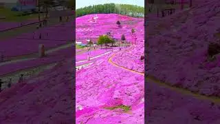 Unexplore Places On Earth That Make You Shok || #explore #facts #beautifulnature