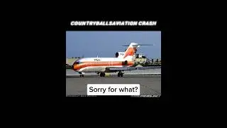 Sorry for what...? || #crashplane #aviation #animation #planecrash #psa182 #cessna172