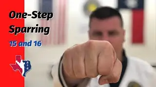 One Step Sparring 15 & 16 for Tang Soo Do / Soo Bahk Do