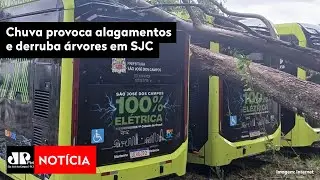 Chuva provoca alagamentos e derruba &aacute;rvores em SJC
