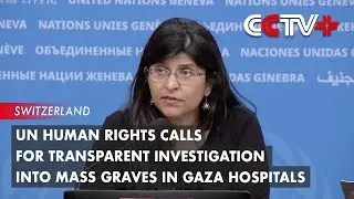 UN Human Rights Calls for Transparent Investigation into Mass Graves in Gaza Hospitals