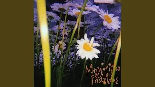 Margaritas