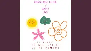 Cel mai fericit de pe păm&acirc;nt (Remix)