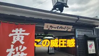 日本酒と坂もっちゃんの町　京都市伏見桃山を探訪