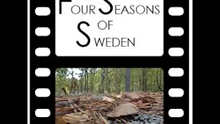 Four Seasons Of Sweden - Trailer