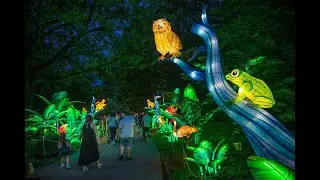 Boston Lights: A Lantern Experience at Franklin Park Zoo