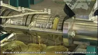 Efficient Canola Seed Oil Press Machine | High Yield Oil Extraction Technology