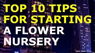 How to Start a Flower Nursery Business | Free Flower Nursery Business Plan Template Included