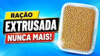 EXTRUSADA NUNCA MAIS PARA OS CANÁRIOS