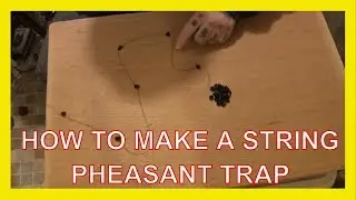 How To Make A String Pheasant Trap