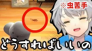 ゴキがいるのにプレゼントを開け続ける歌い手【あつ森/なろ屋/めろぱか/MEROPRO】