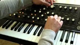 Spring Day - Moog Sub37