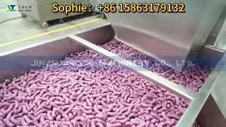 Purple Sweet Potato Corn Puff Food Snack Extruder Production Line Puff Food Processing Factory
