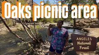 Discover the Hidden Gem: Oaks Picnic Area – Angeles National Forest, CA