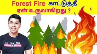 காட்டுத்தீ ஏற்பட காரணம் என்ன ? How forest fire occurs ?  How to prevent forest fire ?TAMIL SOLVER