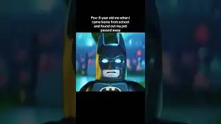 Okay batman well take it from here #shorts  #fyp #pets #batman