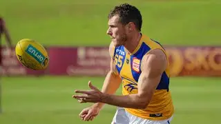 Highlights: Shuey's WAFL return